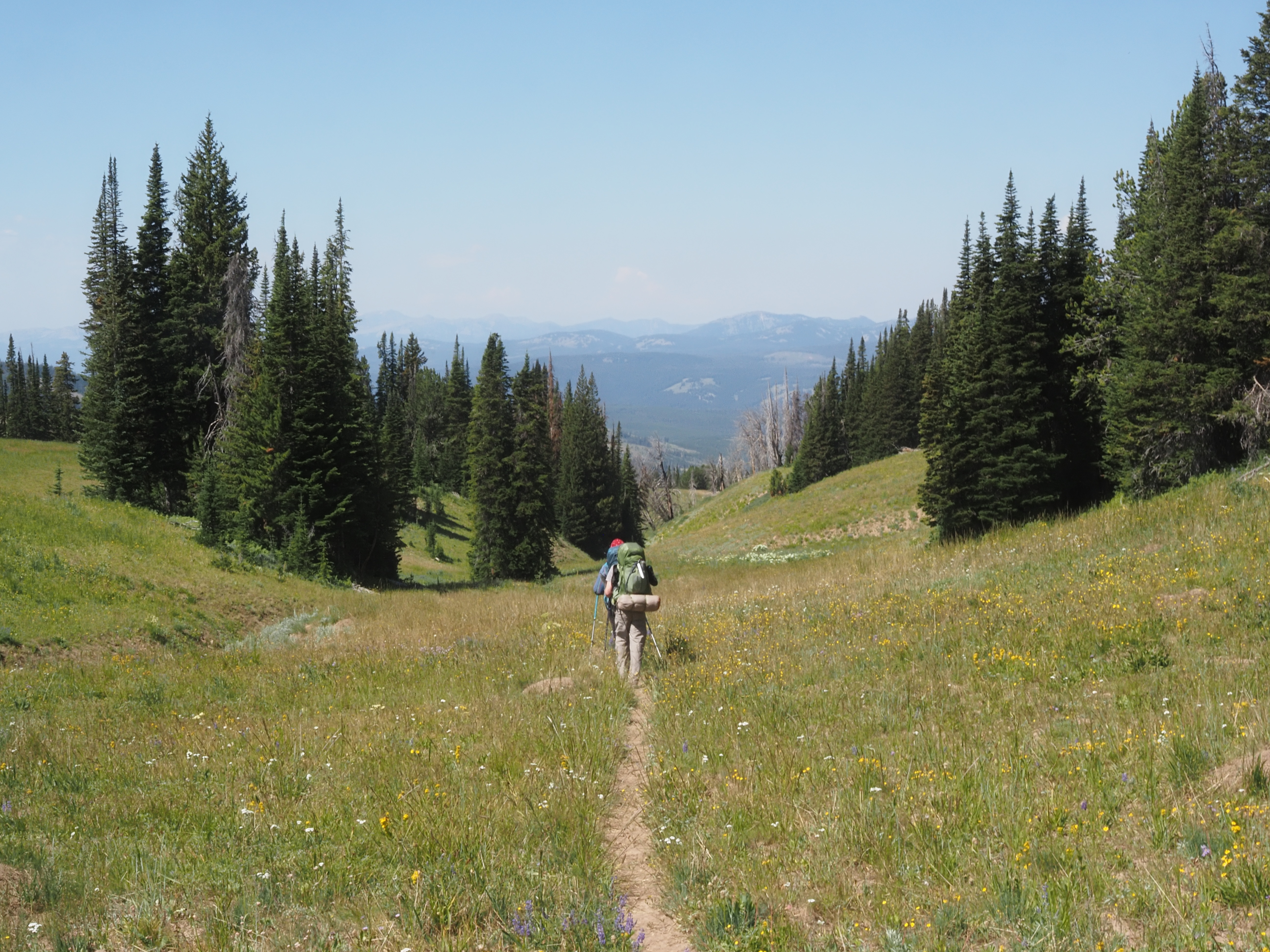A photo of a trail leading down a mountain